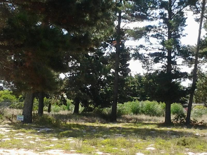 0 Bedroom Property for Sale in Albertinia Western Cape